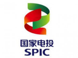 國家電投